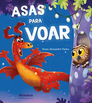 Capa do livro &laquo;Asas para voar&raquo;