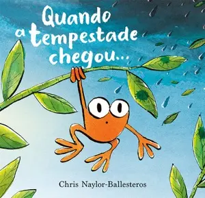 Capa do livro &laquo;Quando a tempestade chegou…&raquo;
