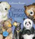 Capa de &laquo;Cinco Ursos&raquo;